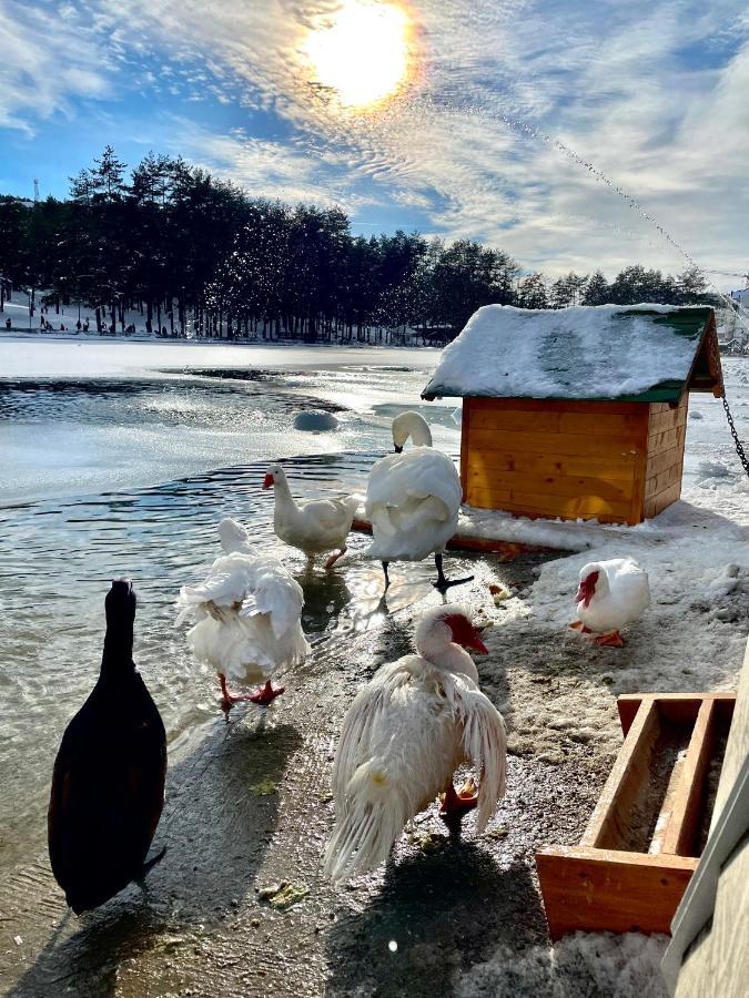 Lux Apartmani Vojinovic Zlatibor Luaran gambar